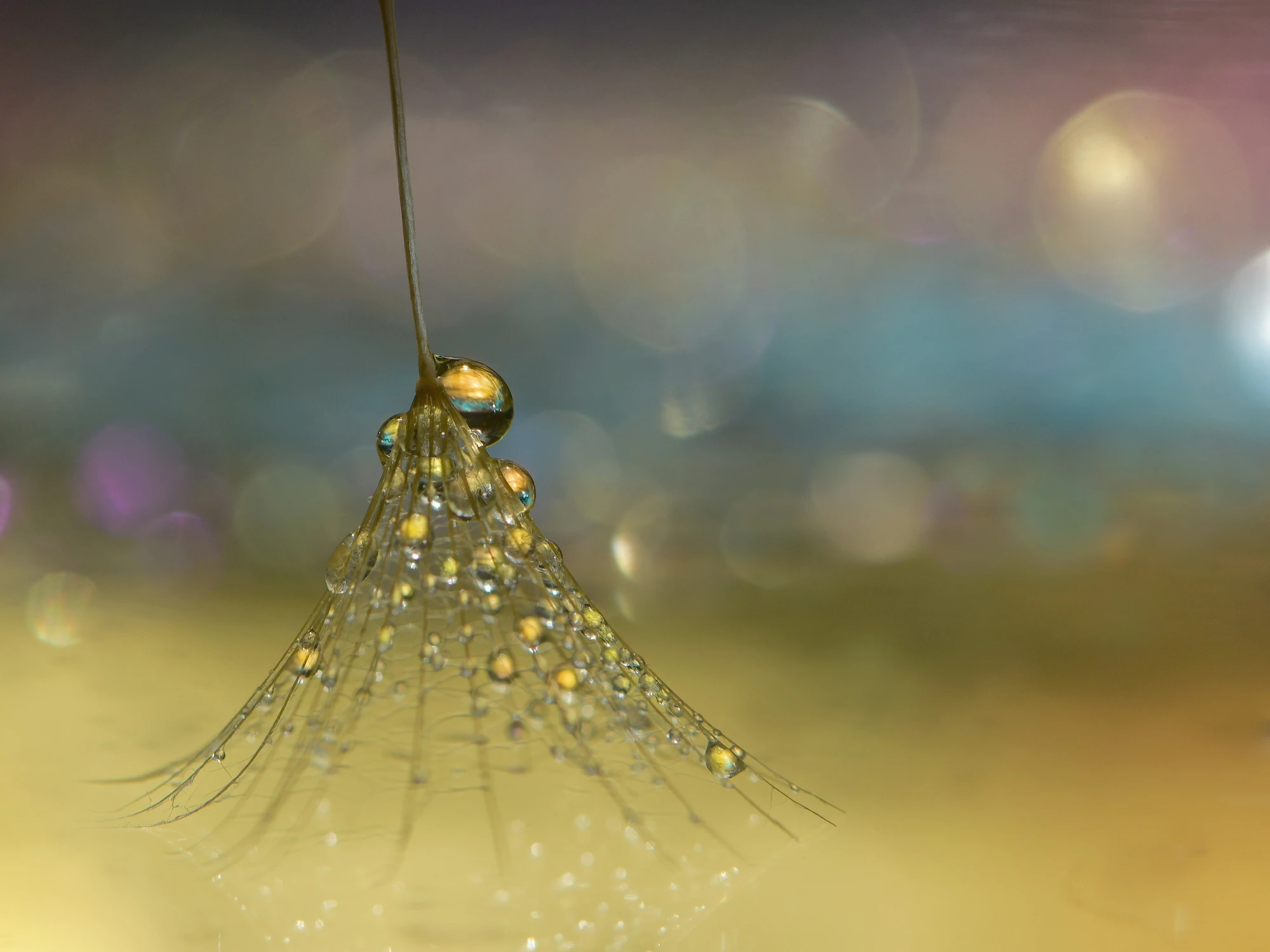 Czas na wiosenne porządki