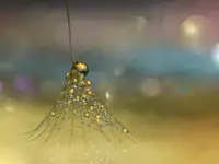 Czas na wiosenne porządki