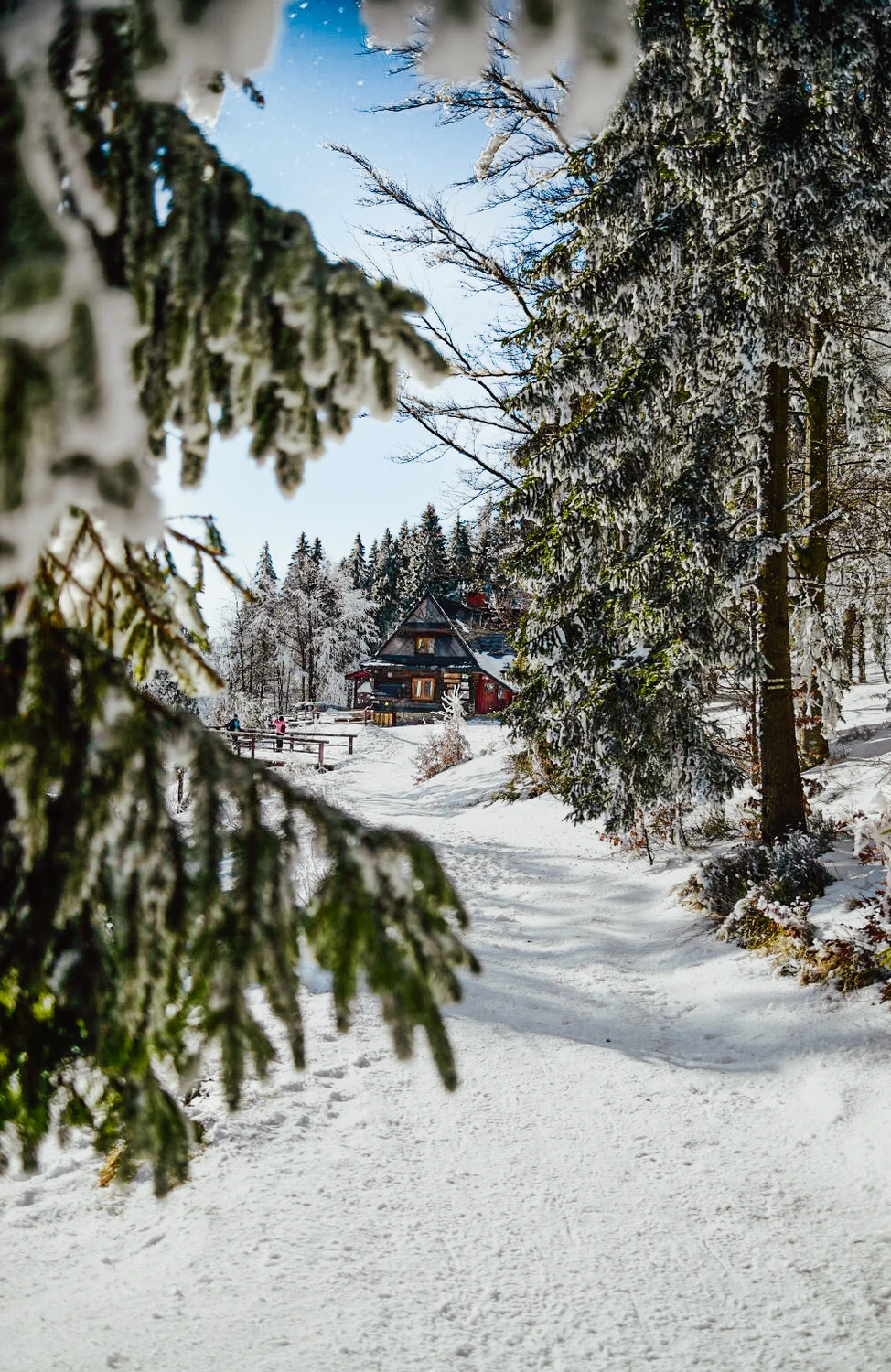 Zimowy Beskid Żywiecki 