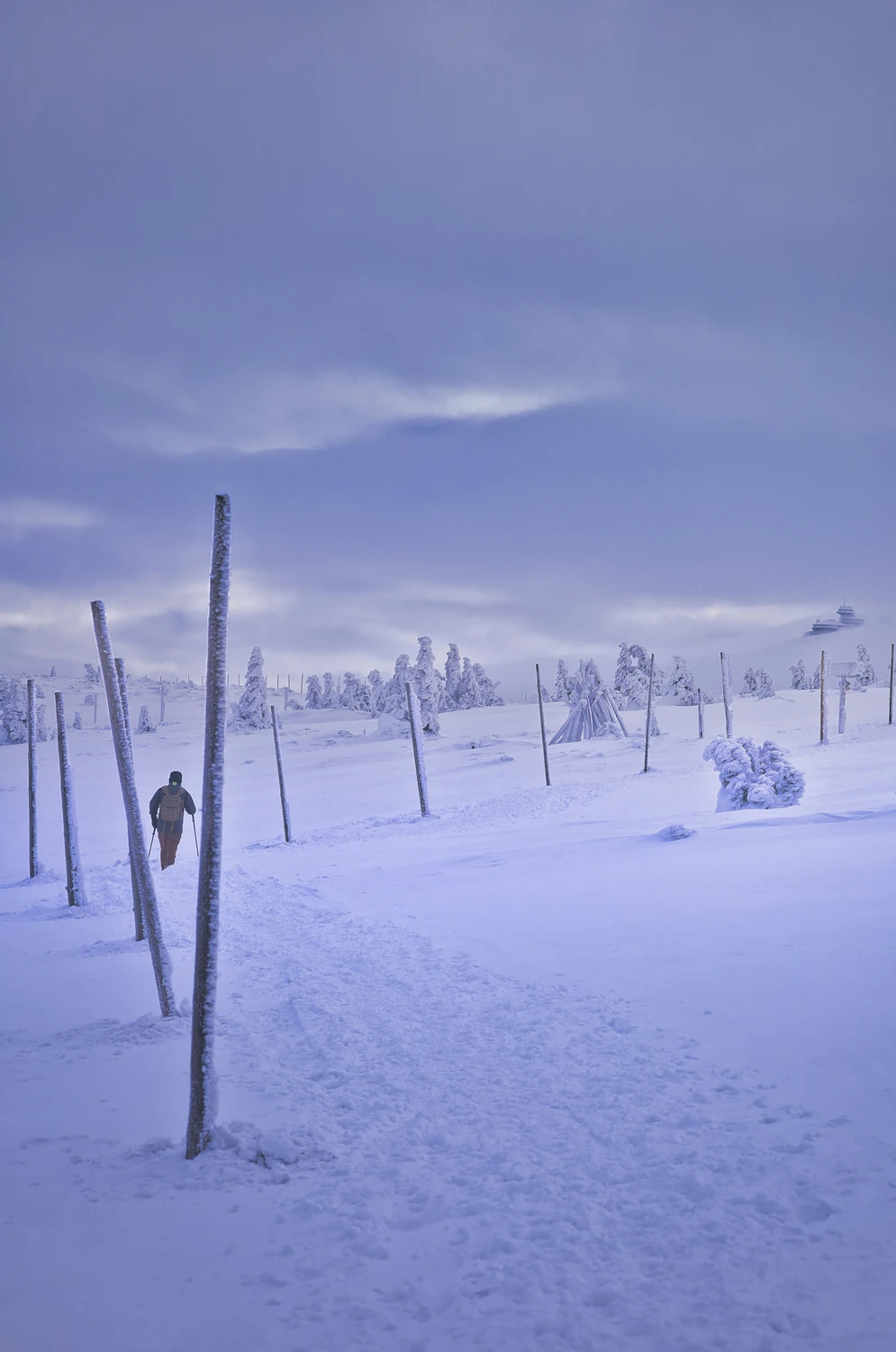 W drodze na Śnieżkę 