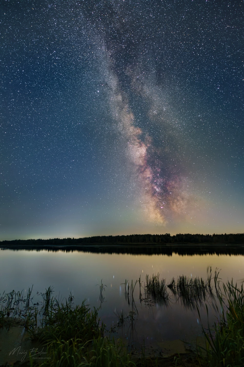 Gwiazdy nad Wilczą Wolą