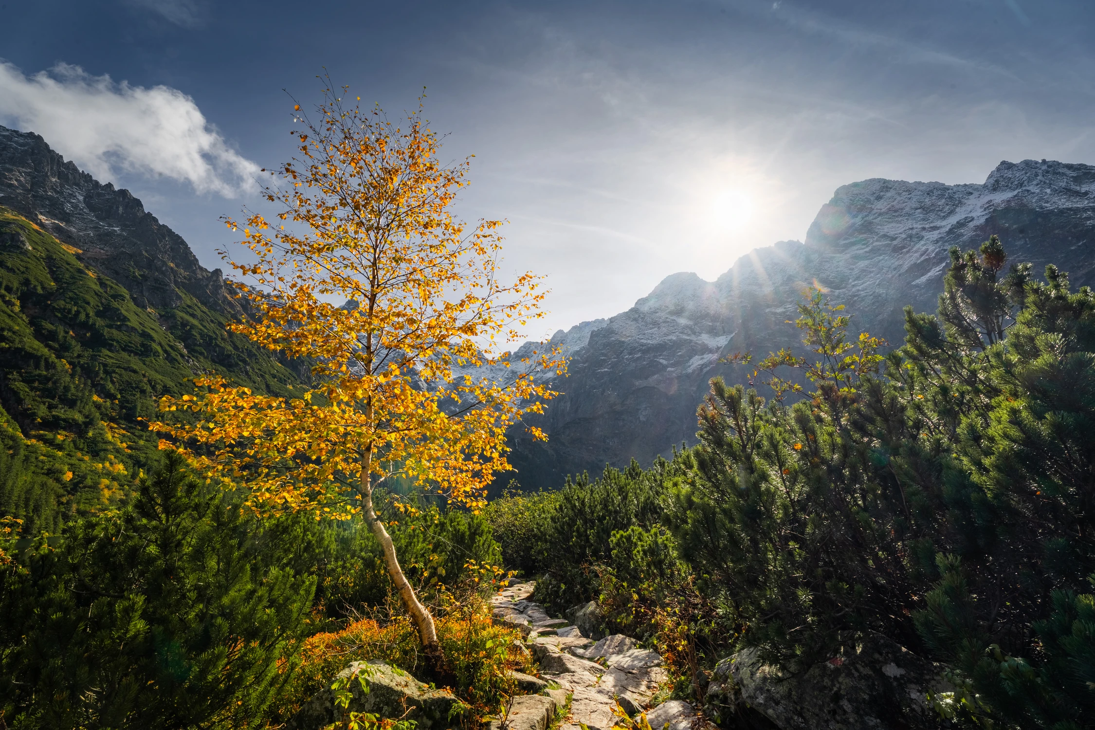 PIERWSZY ODDECH JESIENI