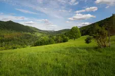 Zielone Bieszczady
