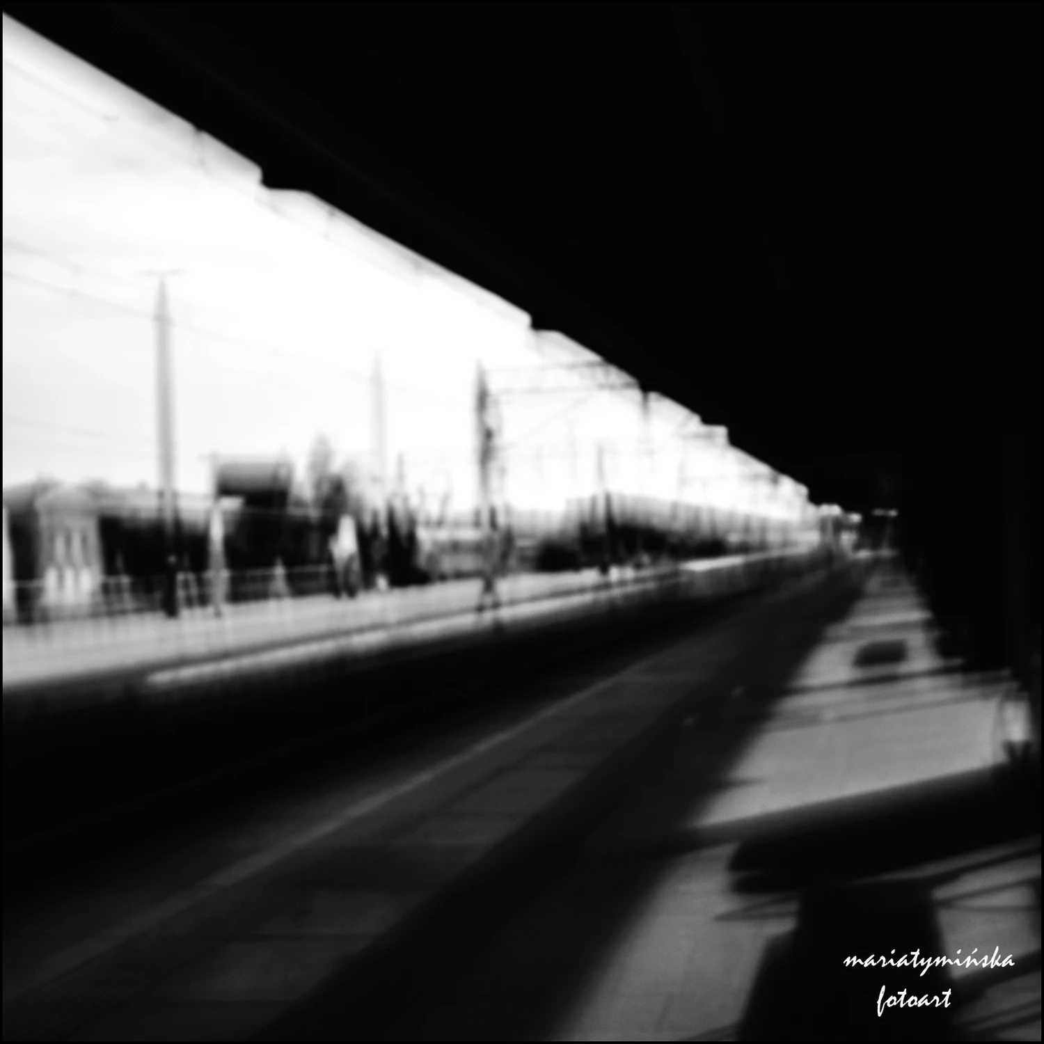 MT5_0706