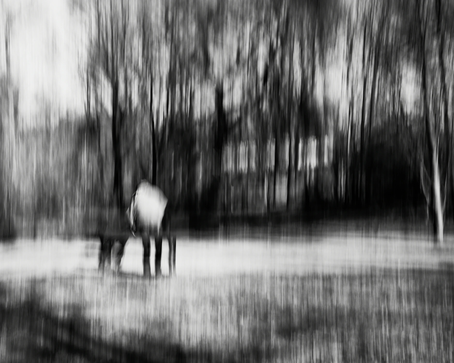 Memento fotograficzne...