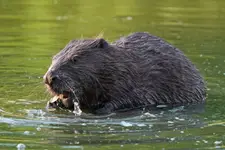 Śniadanie to najważniejszy posiłek dnia ;-)