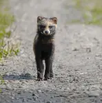 Spotkanie