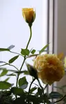 >>>