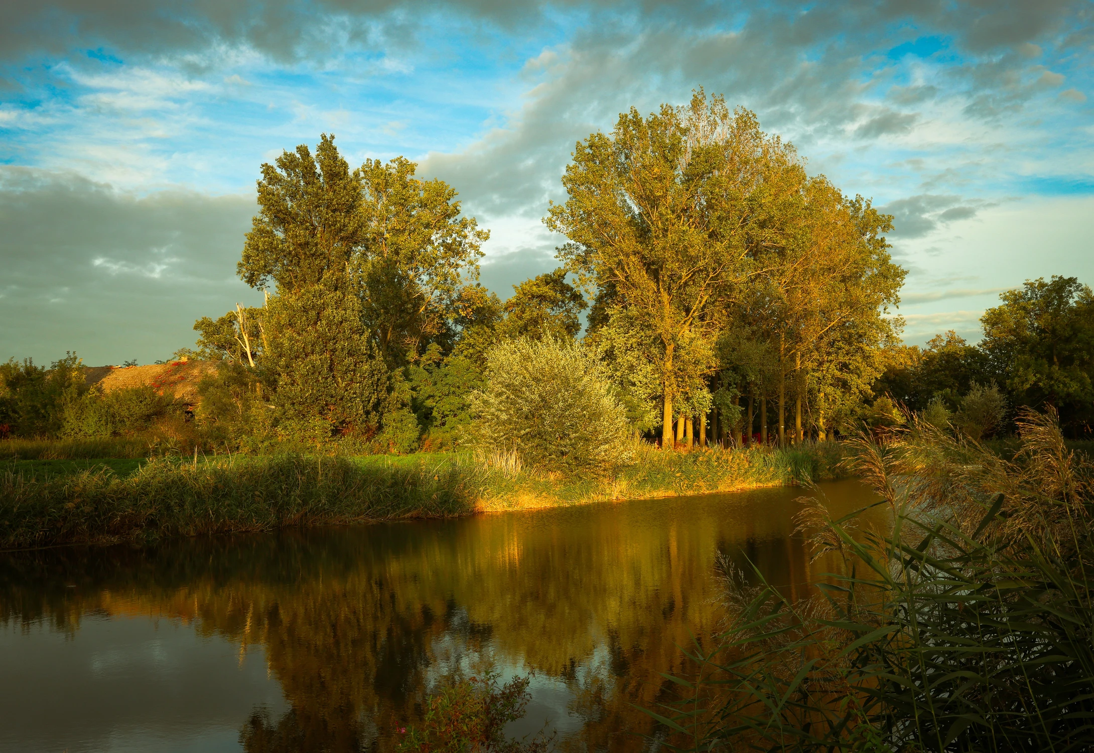BALKÓW / STAW