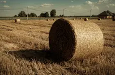 BALKÓW / PO ŻNIWACH