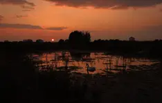 BALKÓW / KONIEC DNIA