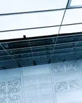 4 SENSU SCRICTO