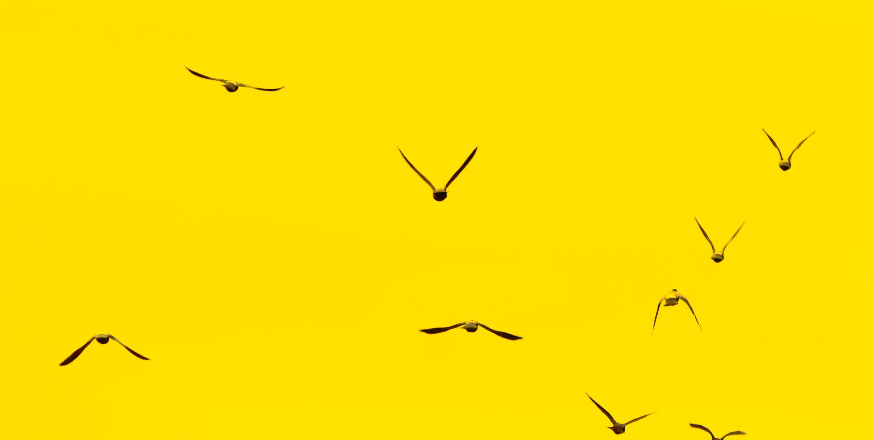 MASZ ALBO MYSLISZ O NICH