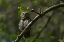 Wesoła sufka :)