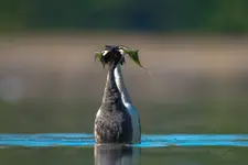 To tylko tango...