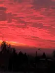1000021326