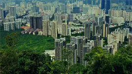 Shenzhen #6