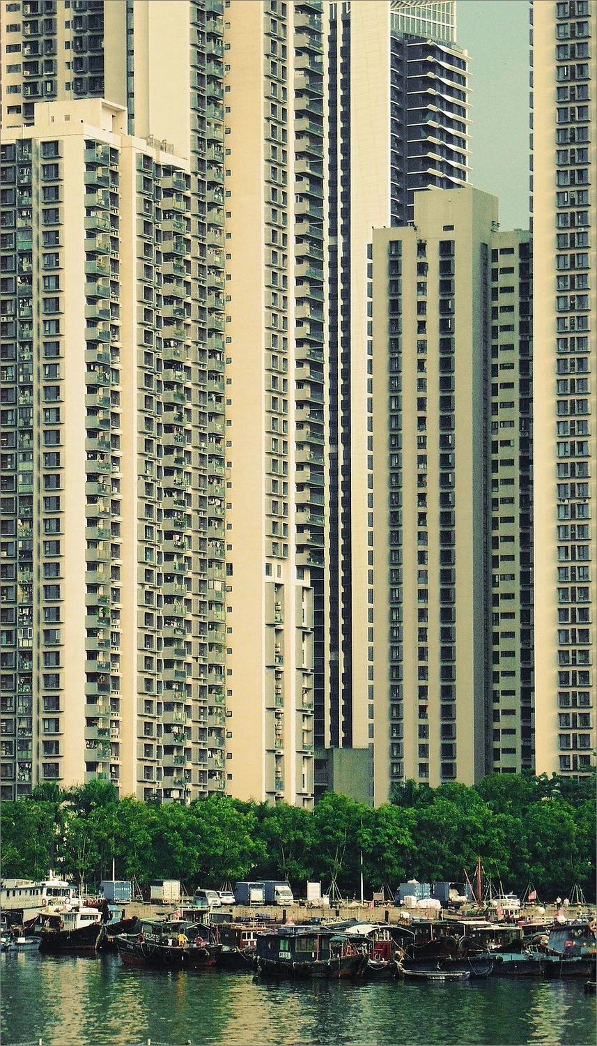 Shenzhen #5