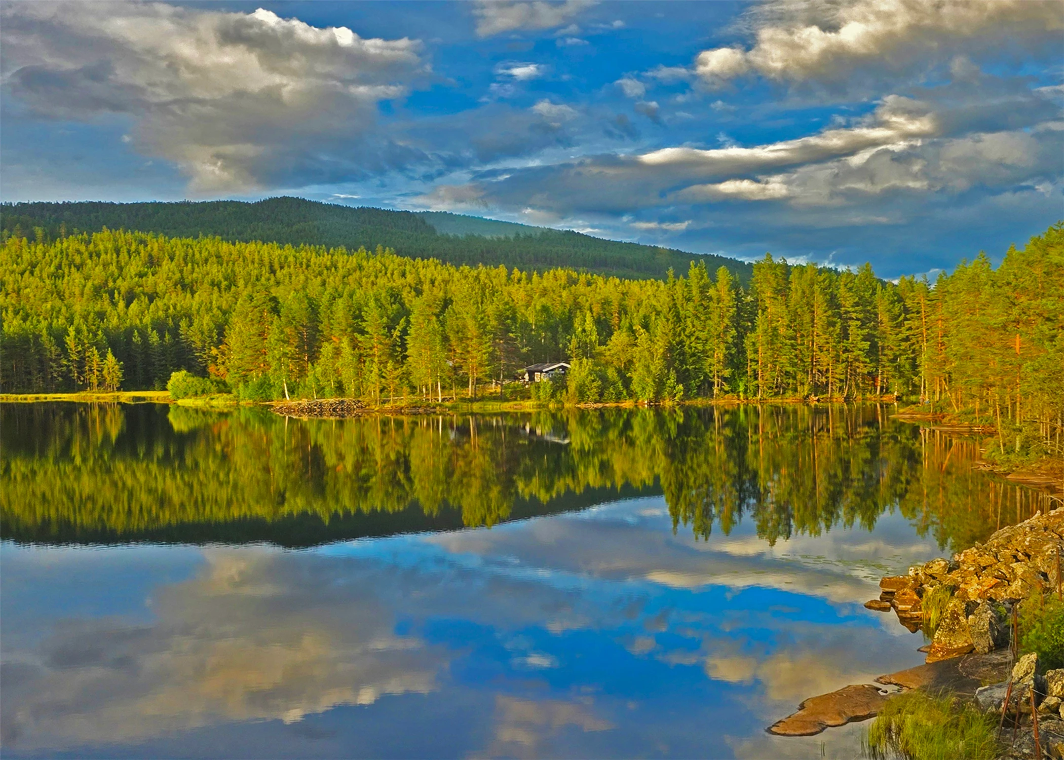 20260801 Norwegia na trasie z Bergen_203206