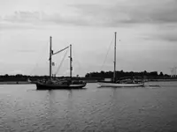 Ernestine (fot.4)