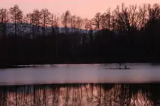 1000013285