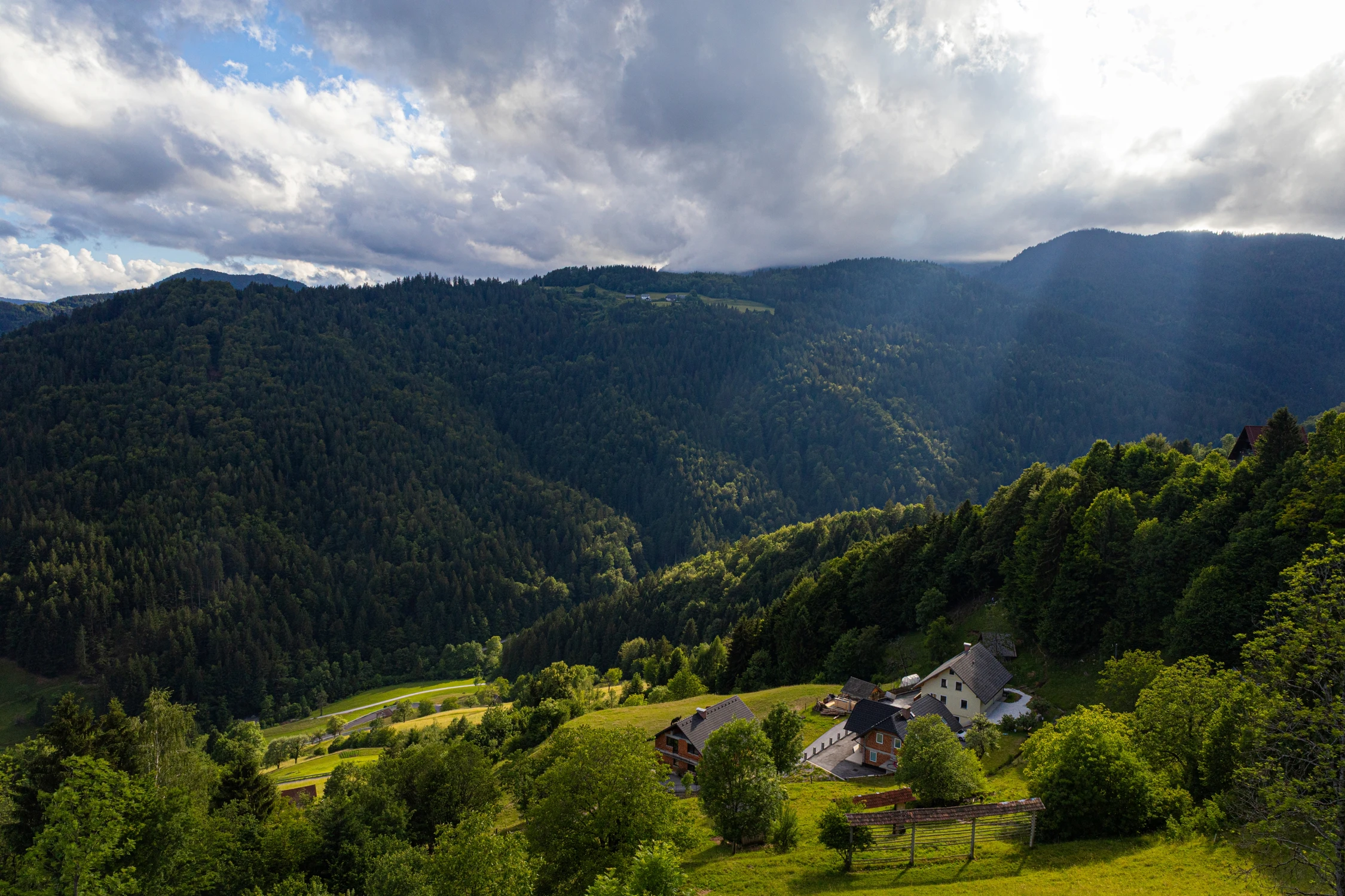 20260606-_MG_3214