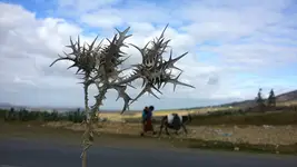 Oko na Maroko