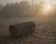 Takie tam o nasłuchu