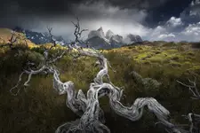 Torres del Paine