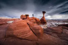 Hoodoo Mashroom 