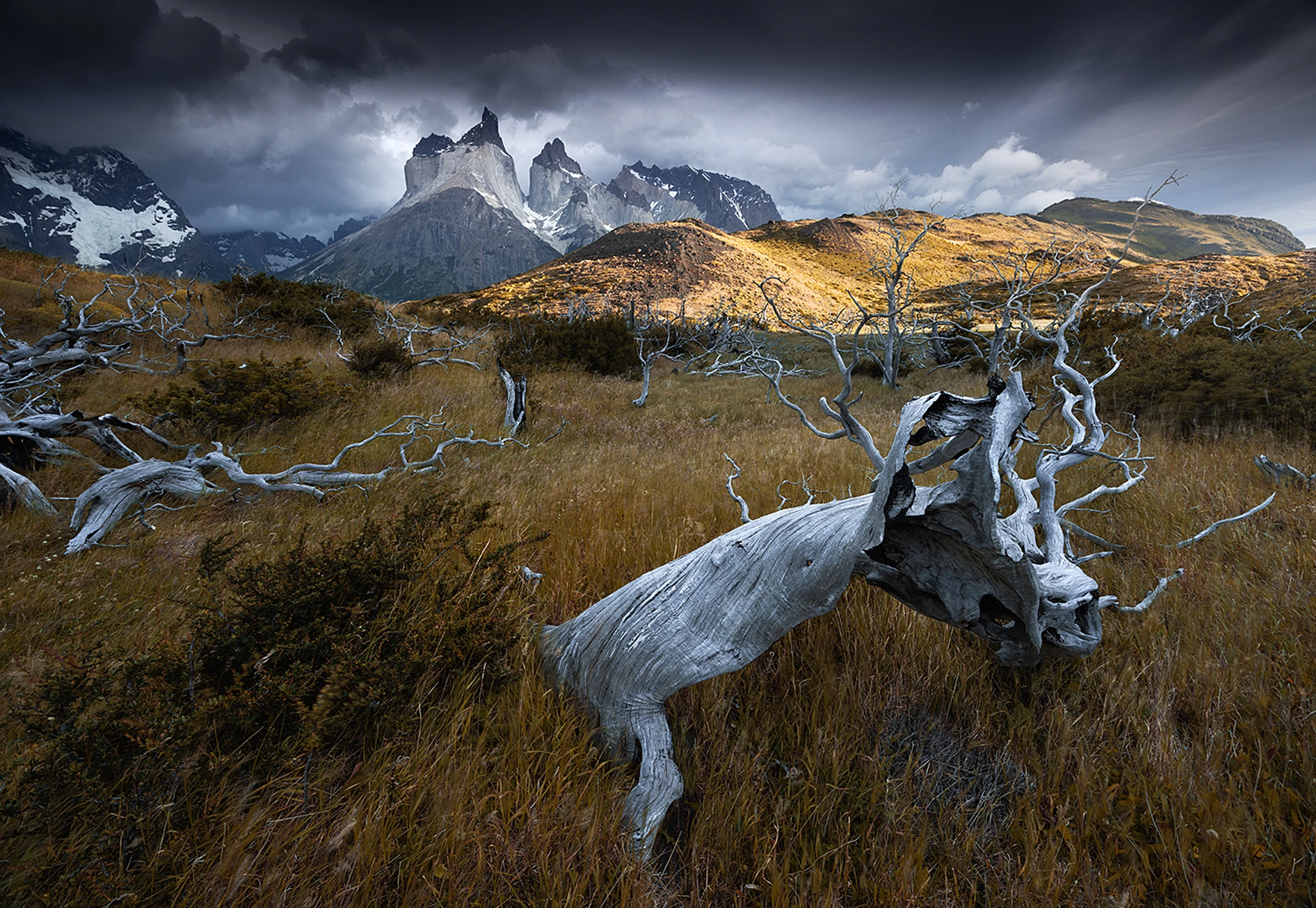 Wietrzny dzień w Torres del Paine