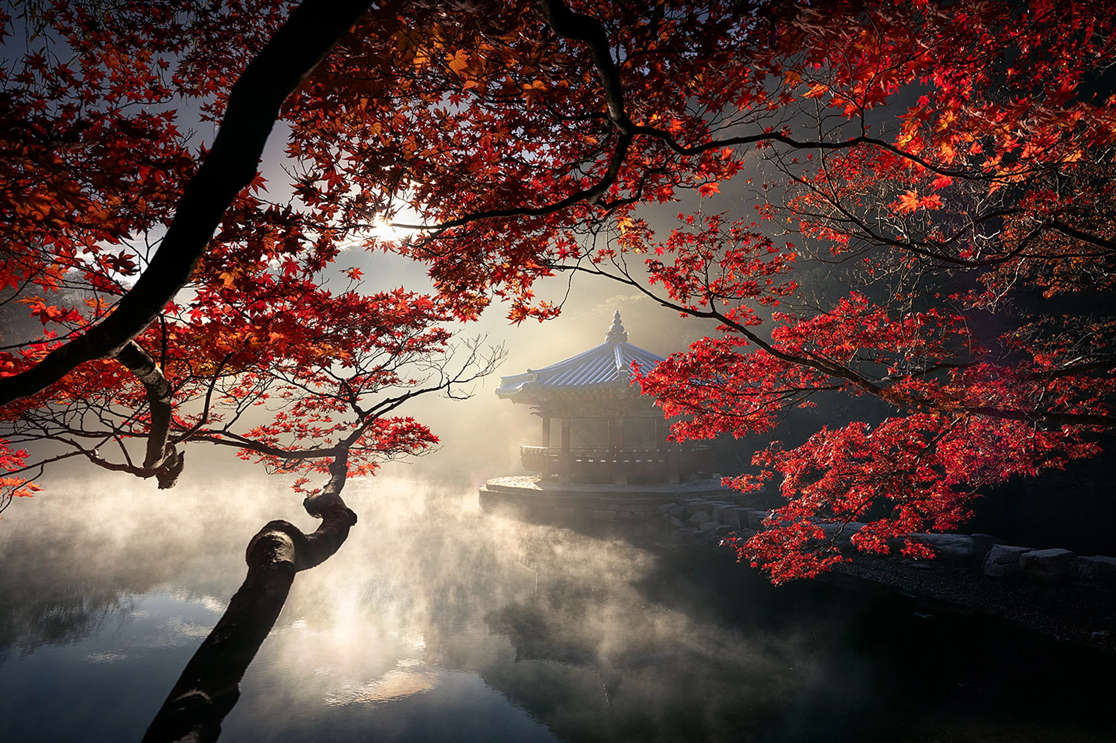 Jesienny poranek w Parku Narodowym Naejangsan