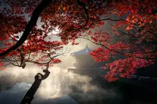 Jesienny poranek w Parku Narodowym Naejangsan