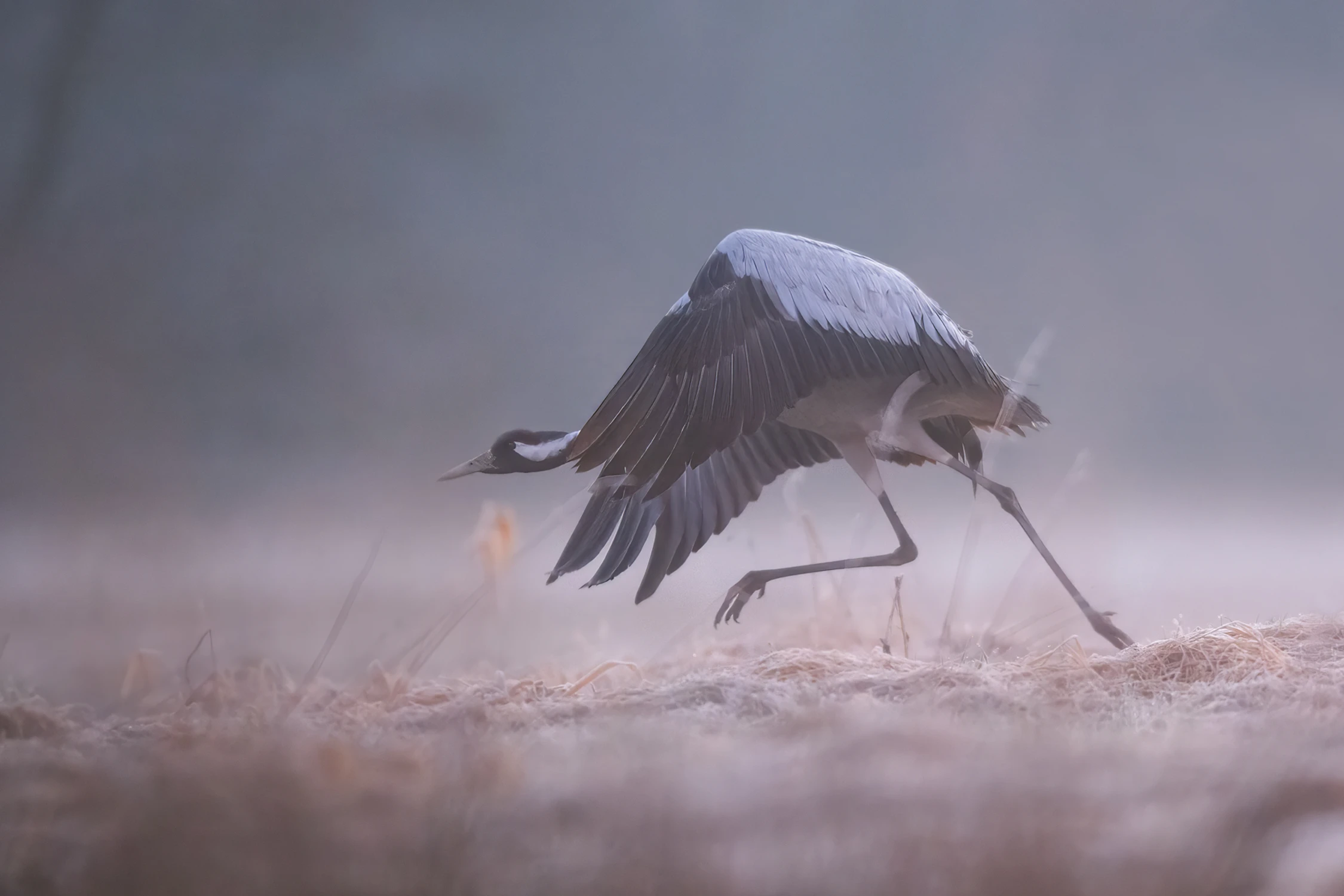 Na krótko przed odlotem....