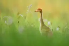 Dzień dziecka