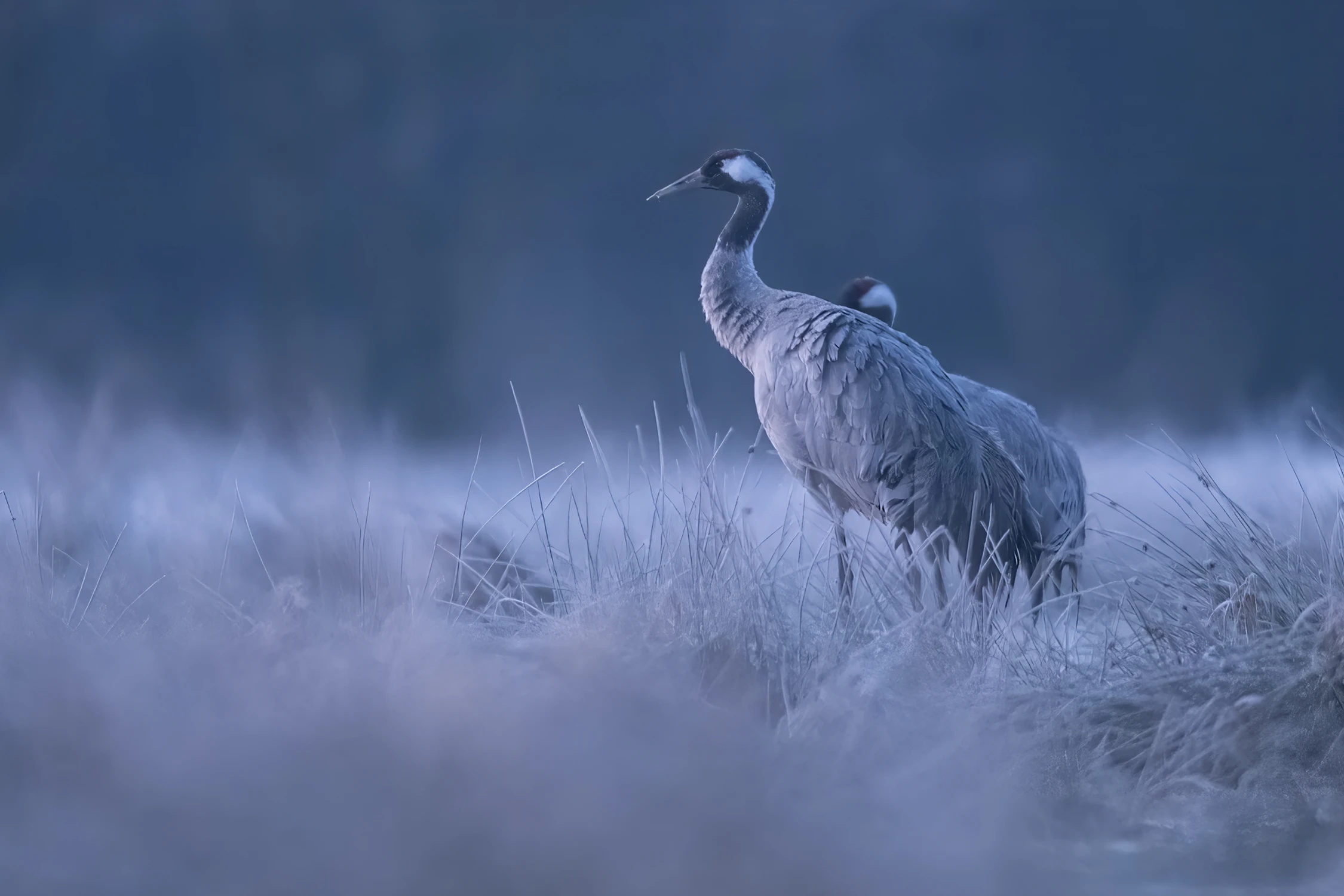 Przedświt na noclegowisku 