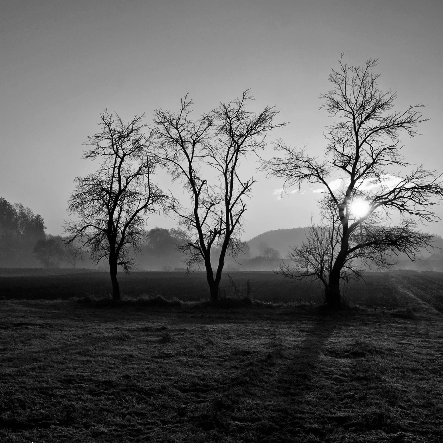 The  Last Three Samurai