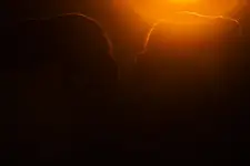 pojedynek w słońcu