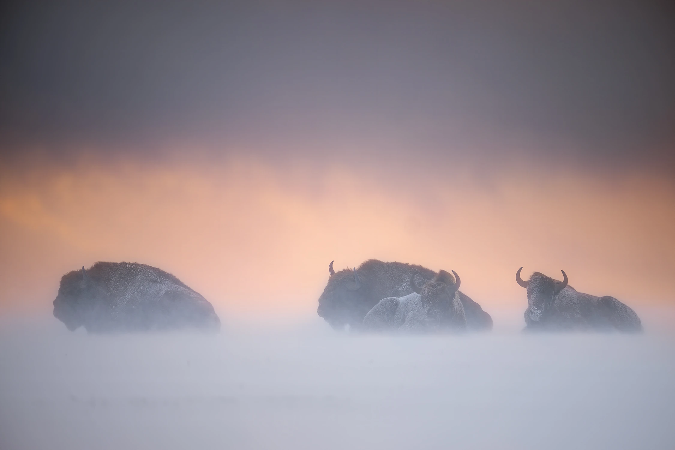 między niebem, a ziemią