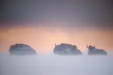 między niebem, a ziemią