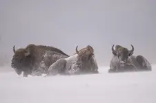 nie zawsze świeci słońce