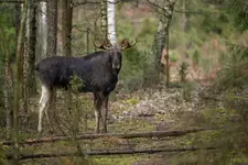 Świateczne spotkanie