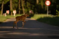 pierwsza lekcja