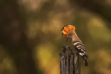 na koniec dnia