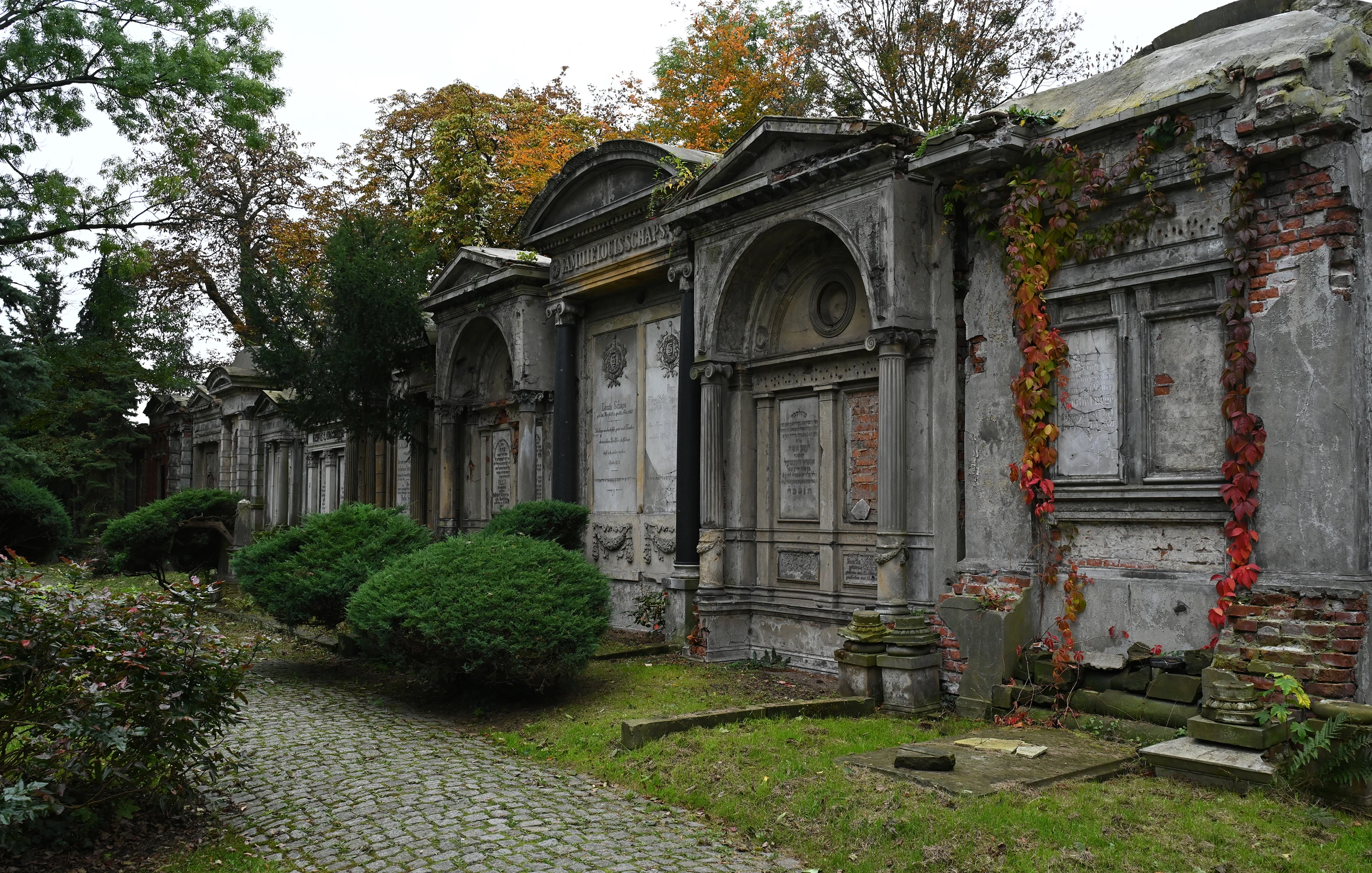 Z cyklu gasnąca pamięć