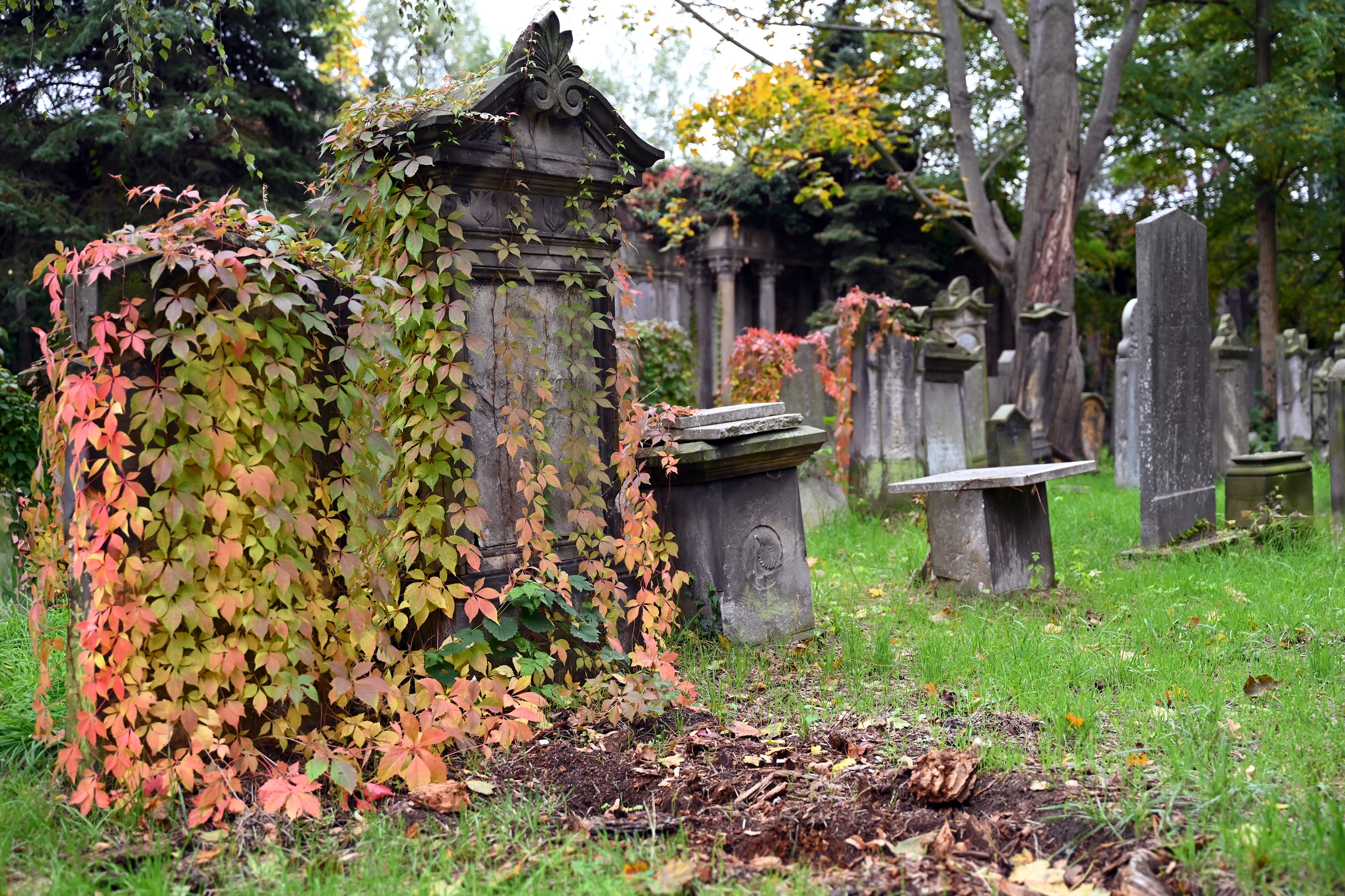 Z cyklu gasnąca pamięć