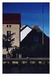 NATURA PRAWIE MARTWA