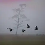 Bez tytułu