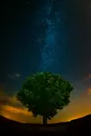 Astro