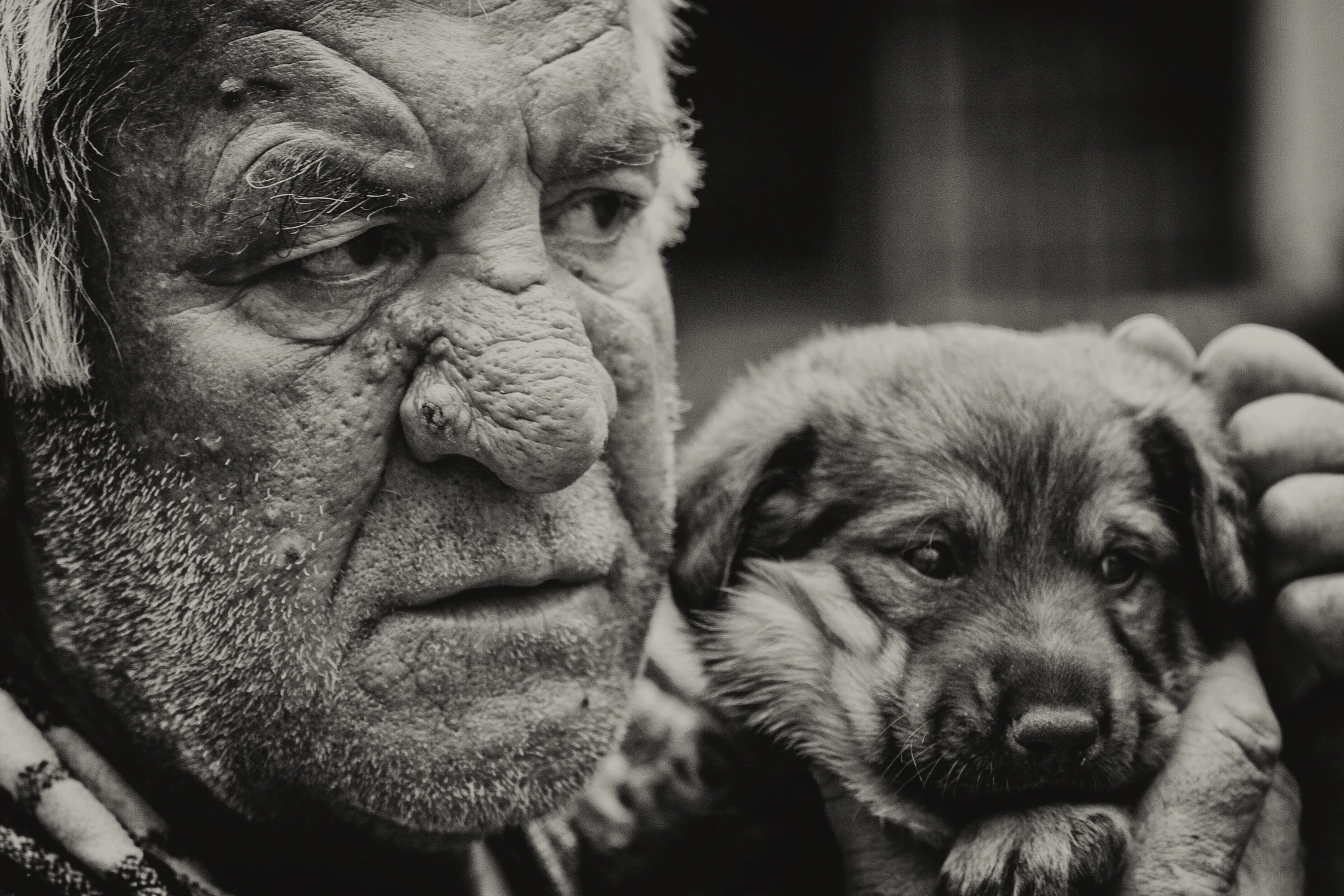 Człowiek i jego pies